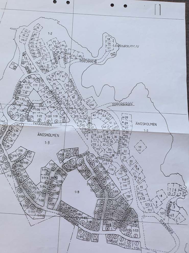 66442633_2428179264125036_99125117887447040_n